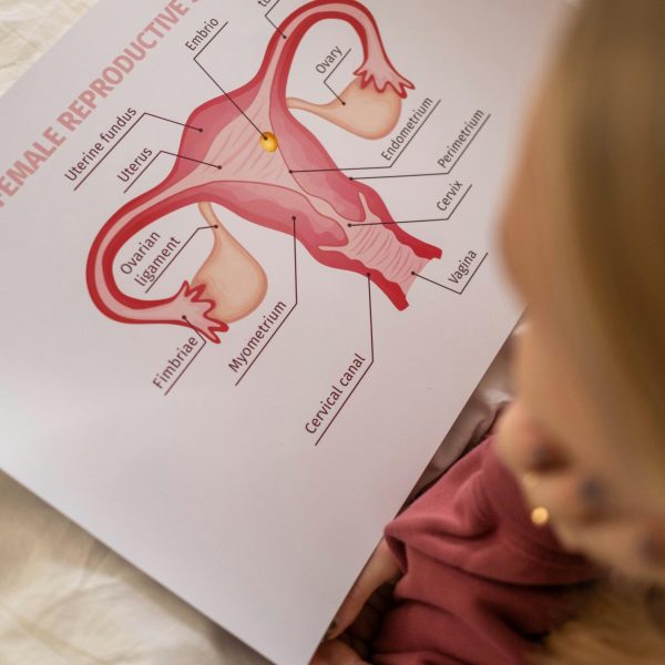 osteopathe hyeres-osteopathie carqueiranne-troubles digestifs la crau-endometriose la garde-fertilite la farlede-osteopathe nourrissons la londe les maures-osteopathie entreprise la valette du var-osteo var